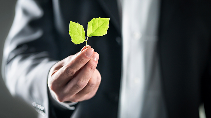 Introduction to Environmental Regulations for Retail